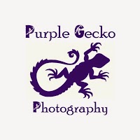 Purple Gecko Photography 1102120 Image 5